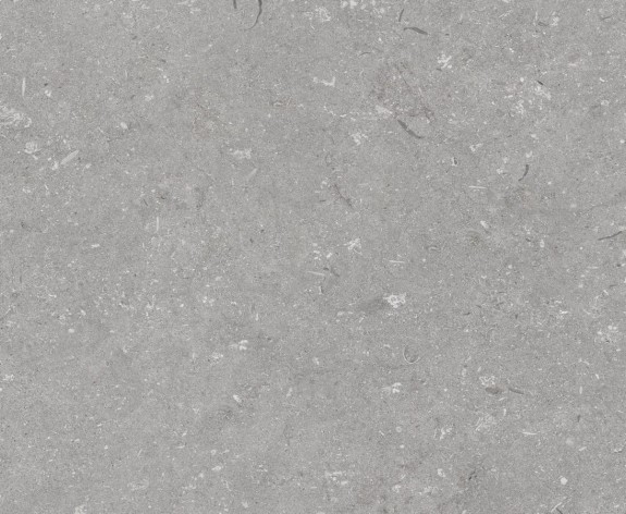 04425-Shellstone grigio 60x60_cover