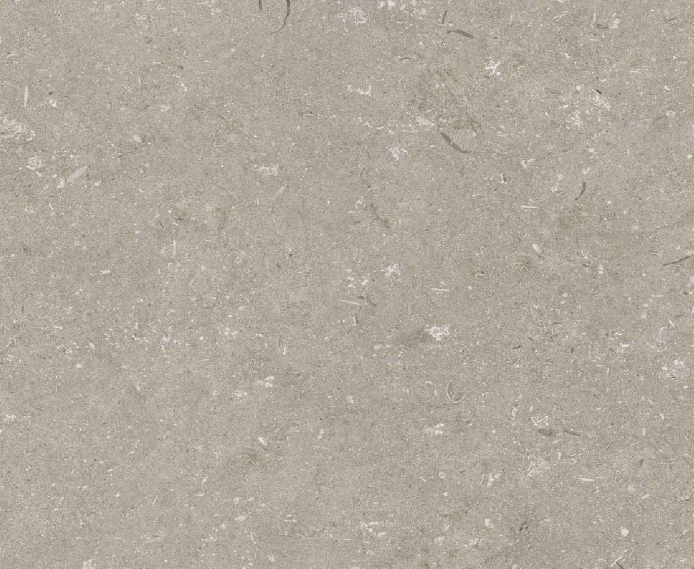 04426-Shellstone taupe 60x60_cover